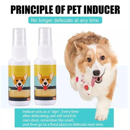 Natural Potty Training Spray for Dog & Cat (Pack of 2) 30ml each